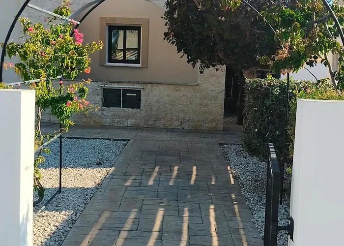 Cy-blue * 普罗塔拉斯