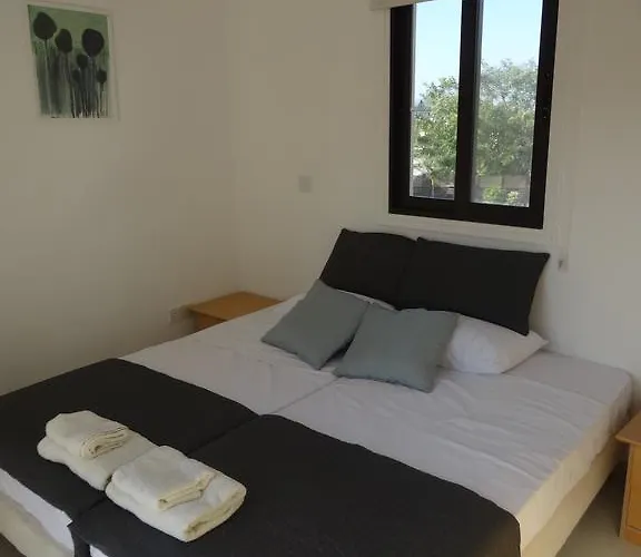 Cy-blue 普罗塔拉斯